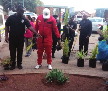Freedom-Day-Greater-Protea-Glen2