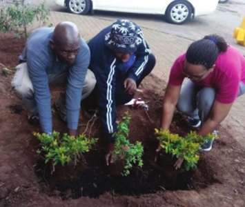 Freedom-Day-Greater-Protea-Glen4